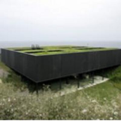 Profile Picture of Donna Wolfe (@donnawolfe62602) on Twitter