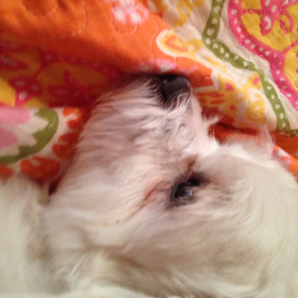 Profile Picture of Vicki Hargis (@hargis_vicki) on Poshmark