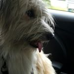 Profile Picture of Eric (@e.cardenoso) on Instagram