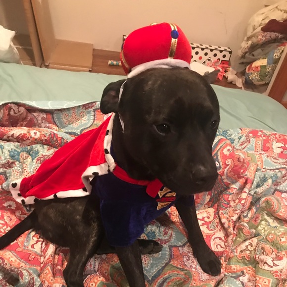 Profile Picture of Alex Willson (@alxinwondrlnd) on Poshmark