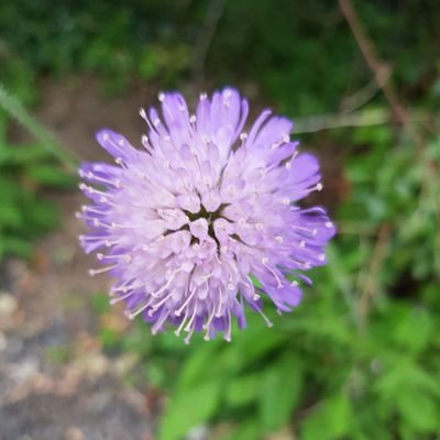 Profile Picture of Holly Plummer (@holly0091) on Twitter