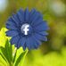Profile Picture of Mohsen Fahmi (@mohsen.fahmi.503) on Facebook
