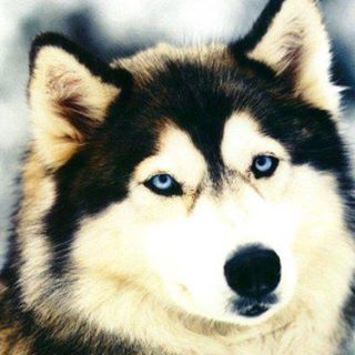 Profile Picture of Scott Wolfe (@scott.wolfe.1614) on Facebook