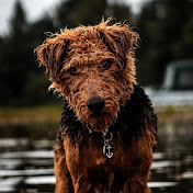 Profile Picture of Saif Adam (@SaifAdam-z9e) on Youtube