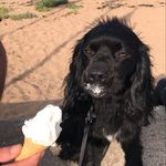 Profile Picture of Matthew (@matthew_mcgrane) on Instagram