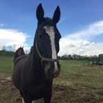 Profile Picture of michael barthel (@michl.ba.75) on Instagram