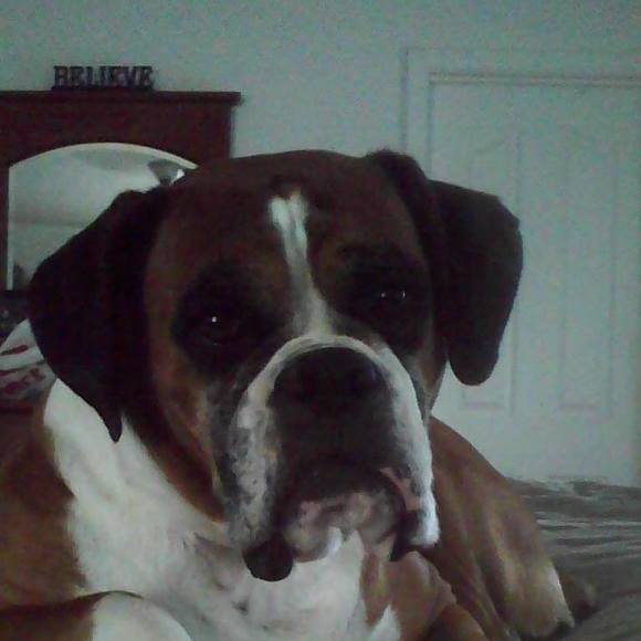 Profile Picture of Tammy Ehrmantrout selander (@tselan85) on Poshmark