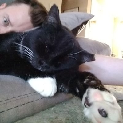 Profile Picture of Brian Hackett (@TheBrianHackett) on Twitter