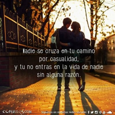 Alex Amoroso - Twitter Profile Picture of Alex Amoroso (@AlexSan46921598) on Twitter