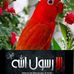 Profile Picture of Mahdi Mohamed (@mahdi.mohamed.182) on Facebook
