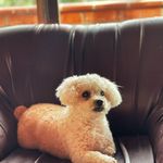 Profile Picture of Lizuth Pulgarin (@pulgarin707) on Instagram