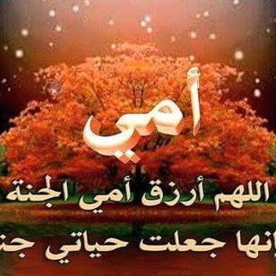 Profile Picture of Ahmad Abo Ahed (@ahmadaboahed94) on Twitter