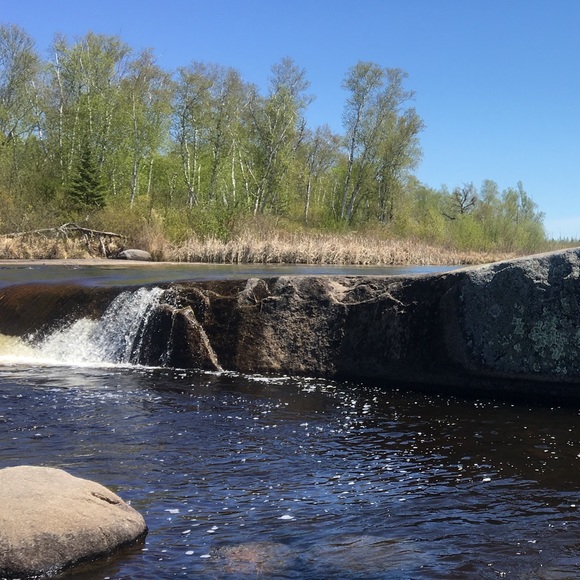 Profile Picture of Cherie Sochin (@cheriesochin) on Poshmark