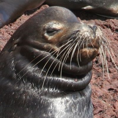 Profile Picture of Tim Of Hackney (@Timothack) on Twitter