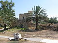Profile Picture of Tel Afekon Wikipedia