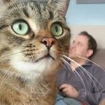 Profile Picture of Adam Vandervelde (@adamvandervelde) on Instagram