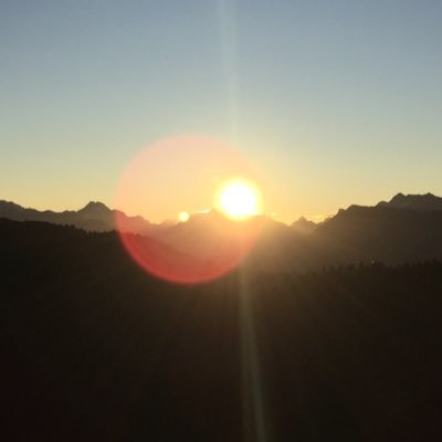 Profile Picture of Daniel Wiegand (@danielwiegand11) on Twitter