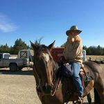 Profile Picture of debbie wells Stratton (@debbiewellsstratt) on Instagram