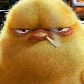 Profile Picture of Ivan Block (@block.ivan) on Instagram