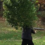 Profile Picture of AndrewTasson (@andrewrtasson) on Instagram