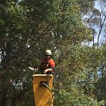 Profile Picture of Blake Macpherson (@brickstagramm) on Instagram