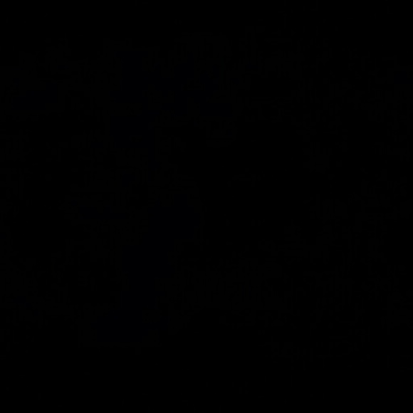 Profile Picture of Nancy Alamo (@nancyalamo213) on Poshmark