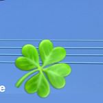 Profile Picture of sweelianhow (@sweelianhow) on Instagram