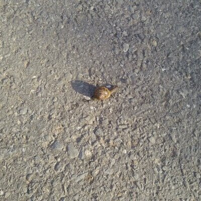 Profile Picture of (: (@juan_canelo0727) on Twitter