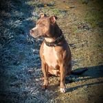 Profile Picture of Els Tromp (@elstromp1) on Instagram