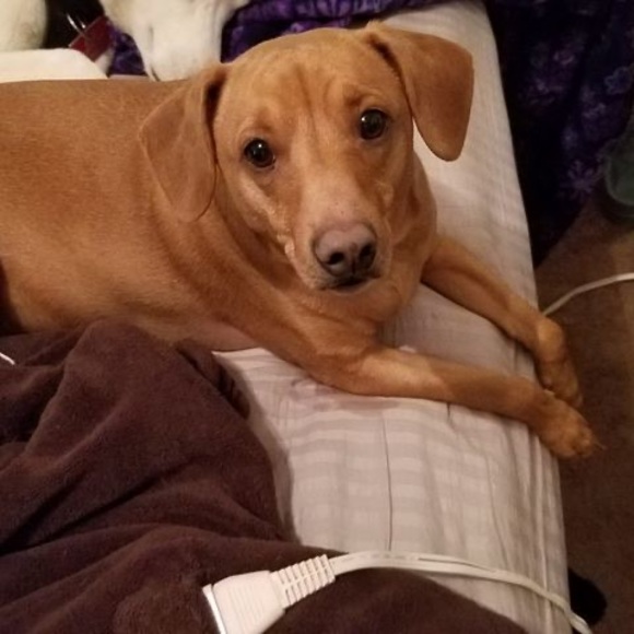 Profile Picture of Linda Piekarczyk (@lindapiekarczyk) on Poshmark