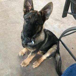 Profile Picture of Ted Harper (@ted.harper.338) on Facebook