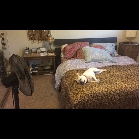 Profile Picture of Abbie Upham (@abbupham) on Poshmark