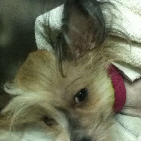 Savy Eckiss - Poshmark Profile Picture of Savy Eckiss (@savyeckiss) on Poshmark