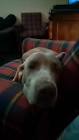 Profile Picture of   Carlos Manuel Recald... (@carlosmanuelrecal) on Tiktok