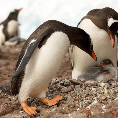 Profile Picture of Carter Bennett (@carterbennett05) on Twitter