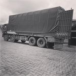 Profile Picture of Eston Danieli (@danielieston) on Instagram