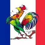 Profile Picture of Nicolas Berche (@nicolasberche) on Instagram