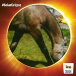 Profile Picture of Anderson de Marco (@anderson.demarco.16) on Instagram