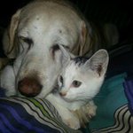 Mick Watson - Instagram Profile Picture of Mick Watson (@mickwatson1970) on Instagram