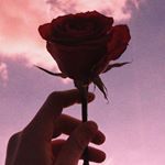 Profile Picture of Alexandra_Adriana (@alexandra_adriana022) on Instagram