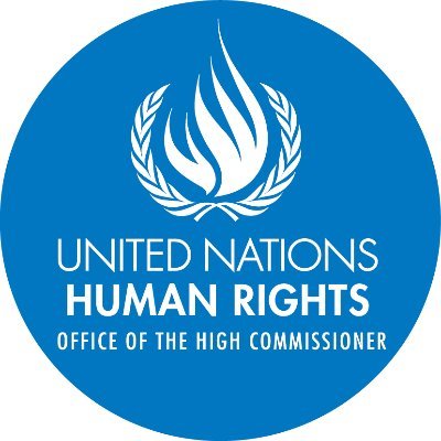 Profile Photo of UN Human Rights (@UNHumanRights) on Twitter