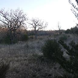 Maddox Merlin Scott - Twitter Profile Picture of Maddox Merlin Scott (@MaddoxMerlin) on Twitter