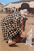 Profile Picture of Frankie Salutoon Wikipedia