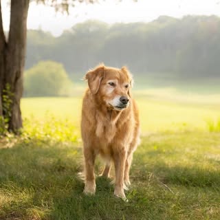 Profile Picture of Hal Gakeler (@halgakeler) on Instagram