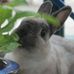 Profile Picture of Patrick Oswald (@patrick.oswald.161) on Facebook