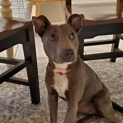 Profile Picture of Kenneth Hargrave (@KennethHargrav) on Twitter