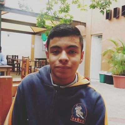 Profile Picture of Joshua Francisco Llovet Roldán (@llovet_roldan) on Twitter