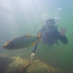 Profile Picture of Javier E Dieguez Diaz (@javier.e.dieguez.d) on Instagram