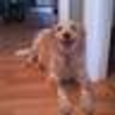 Profile Picture of Chad Severson (@chad_mrfighter) on Twitter