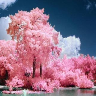 Profile Picture of Carol BrownPrybylski (@carol.brownprybylski) on Facebook